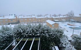 Serengueti